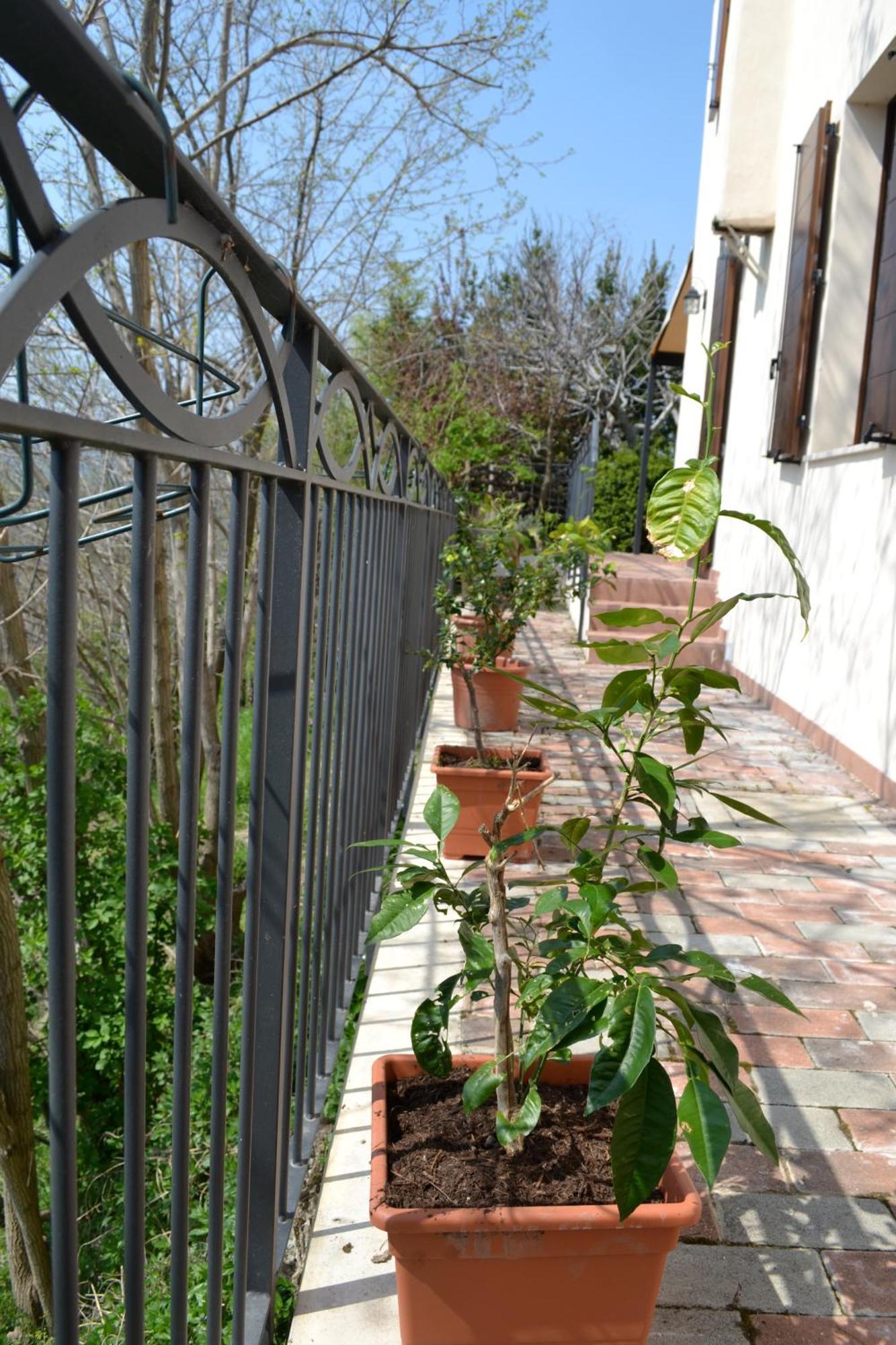 B&B Cà Biocco Sogliano al Rubicone Ngoại thất bức ảnh