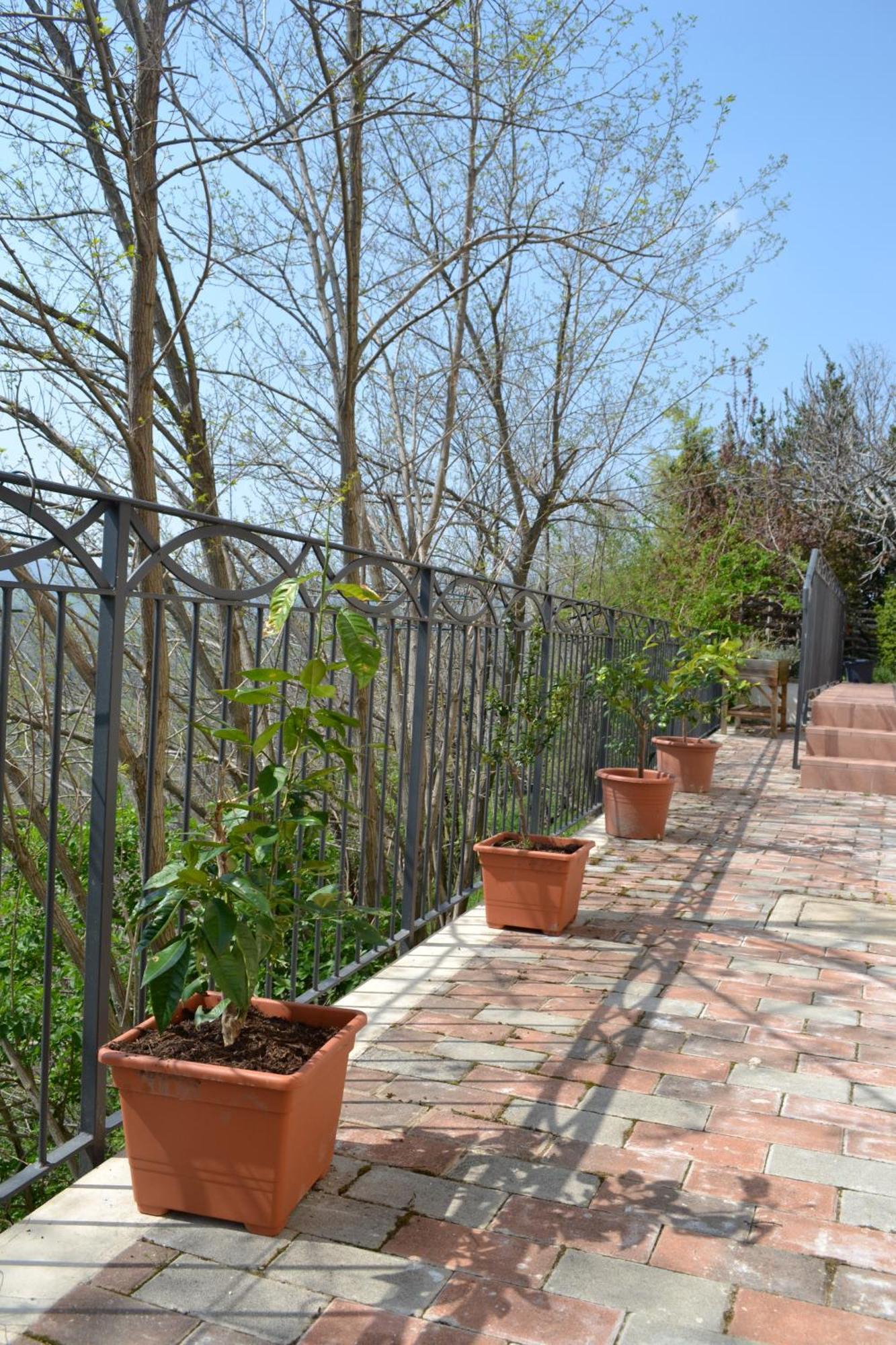 B&B Cà Biocco Sogliano al Rubicone Ngoại thất bức ảnh